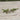 Gerson Resin Lizard Figurine (2 Asst) 8.86"L - Figurines Merchandise