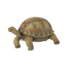 Resin Tortoise 7" - Evergreen Home and Floral