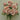 Golden Bell Rose Bud Bush Mauve 19" - Artificial Flowering Plants Silk