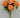 Golden Bell Rose Bush Orange 23" - Artificial Flowering Plants Silk