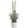 Allstate Rosemary in Cement Pot Green-Gray 17" - Artificial Non-Flowering Plants Silk