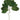 Select Rubber Leaf Spray 26" - Uncategorized Silk