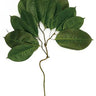 Select Rubber Leaf Spray 26" - Uncategorized Silk