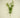 Supreme Ruscus Spray Green - Artificial Non-Flowering Plants Silk