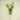 Supreme Ruscus Spray Green - Artificial Non-Flowering Plants Silk