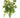 Allstate Sedum Bush Cream-Green 16" - Artificial Non-Flowering Plants Silk