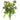 Allstate Sedum Bush Cream-Green 16" - Artificial Non-Flowering Plants Silk
