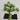 Supreme Sedum Pick Green 5" - Artificial Non-Flowering Plants Silk