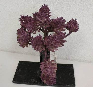 Supreme Sedum Pick Purple 5" - Artificial Non-Flowering Plants Silk