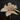Light Garden Sheer Linen Flower Stem Tan 29.50" - Uncategorized Silk