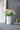 A&B Silver-White Vase 6.5"D x 8.5" - Vases Merchandise