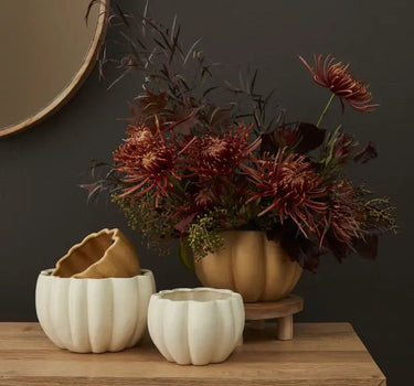 Spiced Pumpkin Pot 5.75" x 4.25"