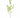 Direct Export Star Ivy Branch Green 45" - Artificial Non-Flowering Plants Silk
