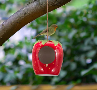 Sagebrook Strawberry Bird House/Feeder 6" - Birdhouses Merchandise