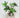 Supreme Succulent w/ Pot 16" x 12" x 23.75" - Artificial Non-Flowering Plants Silk