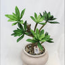 Supreme Succulent w/ Pot 16" x 12" x 23.75" - Artificial Non-Flowering Plants Silk