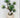 Supreme Succulent with Pot 14" x 12" x 25" - Artificial Non-Flowering Plants Silk