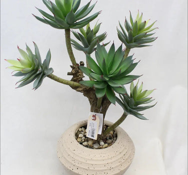 Supreme Succulent with Pot 14" x 12" x 25" - Artificial Non-Flowering Plants Silk