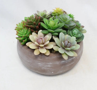 Supreme Succulent with Pot 8" x 8" x 5.5" - Artificial Non-Flowering Plants Silk