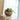 A&B Teak Bowl 12" x 11" - Decorative Bowls Merchandise