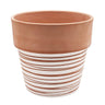 Terracotta Swirl Pot Medium 8.5" x 8" - Evergreen Home and Floral