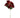 Silk burgundy poinsettia stem with leaves, 28 inches, Direct Export