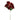 Silk burgundy poinsettia stem with leaves, 28 inches, Direct Export