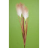 Direct Export Reed Grass Bush Natural 30" - Artificial Non-Flowering Plants Silk