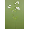 Direct Export Scabiosa Spray Cream 24" - Artificial Flowering Plants Silk