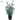 Allstate UV Eucalyptus in Plastic Pot 25" - Artificial Trees Silk