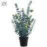 Allstate UV Eucalyptus in Plastic Pot 25" - Artificial Trees Silk