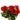 AmBest UV Geranium Bush Red 17" - Artificial Flowering Plants Silk