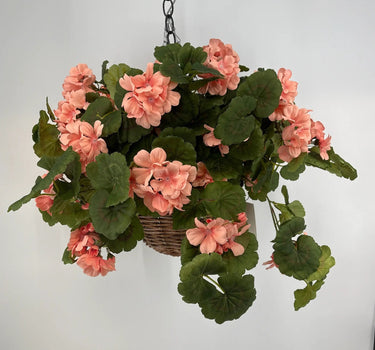 Evergreen Home and Floral UV Geranium Peach Hanging Basket - Uncategorized
