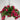 Evergreen Home and Floral UV Hydrangea Hot Pink Hanging Basket - Uncategorized