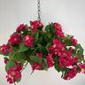 Evergreen Home and Floral UV Hydrangea Hot Pink Hanging Basket - Uncategorized