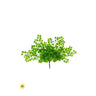 Regency UV Maidenhair Fern Bush 17" - Artificial Non-Flowering Plants Silk