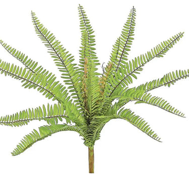 Select UV Narrow Fern 19" - Artificial Non-Flowering Plants Silk