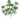 UV Podocarpus Spray 22" - Evergreen Home and Floral