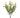 Varigated Boxwood Bush 13" - Evergreen Home and Floral