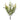 Varigated Boxwood Bush 13" - Evergreen Home and Floral