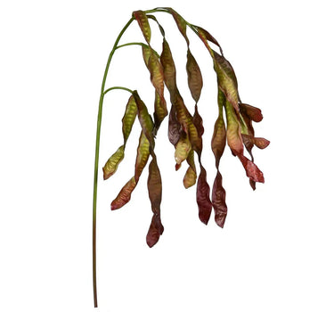 White Leadtree Leucaena Spray 35" - Evergreen Home and Floral