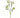 Wild Dill Spray White 33" - Evergreen Home and Floral