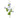 Regency Wild Sweet Pea Stem Blue 22" - Artificial Flowering Plants Silk