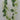 Wisteria Garland Cream 6' - Evergreen Home and Floral