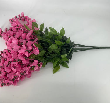 Wisteria Hanging Bush Orchid - Evergreen Home and Floral