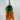 Wisteria Hanging Bush Pumpkin - Evergreen Home and Floral