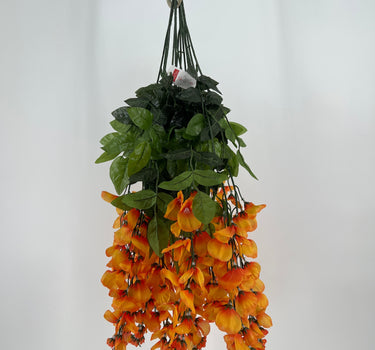 Wisteria Hanging Bush Pumpkin - Evergreen Home and Floral