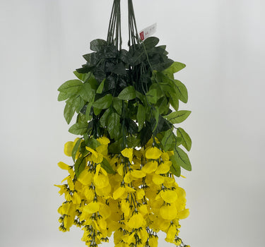 Wisteria Hanging Bush Yellow - Evergreen Home and Floral