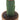 Wool Cactus in Clay Pot (2 Asst) - Evergreen Home and Floral