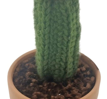 Wool Cactus in Clay Pot (2 Asst) - Evergreen Home and Floral
